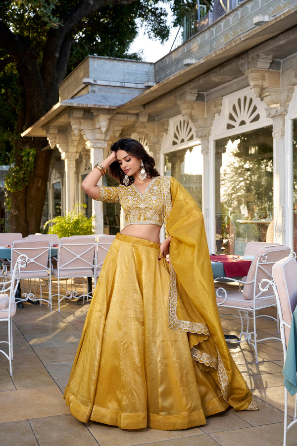 Twinkling Elegance Zari and Embroidery Lehenga for Special Occasions